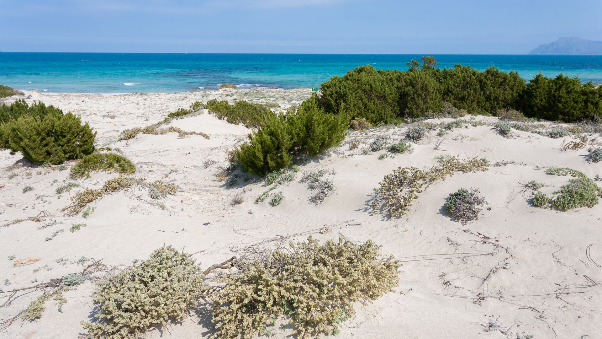 La Flora Y La Fauna En Las Islas Baleares