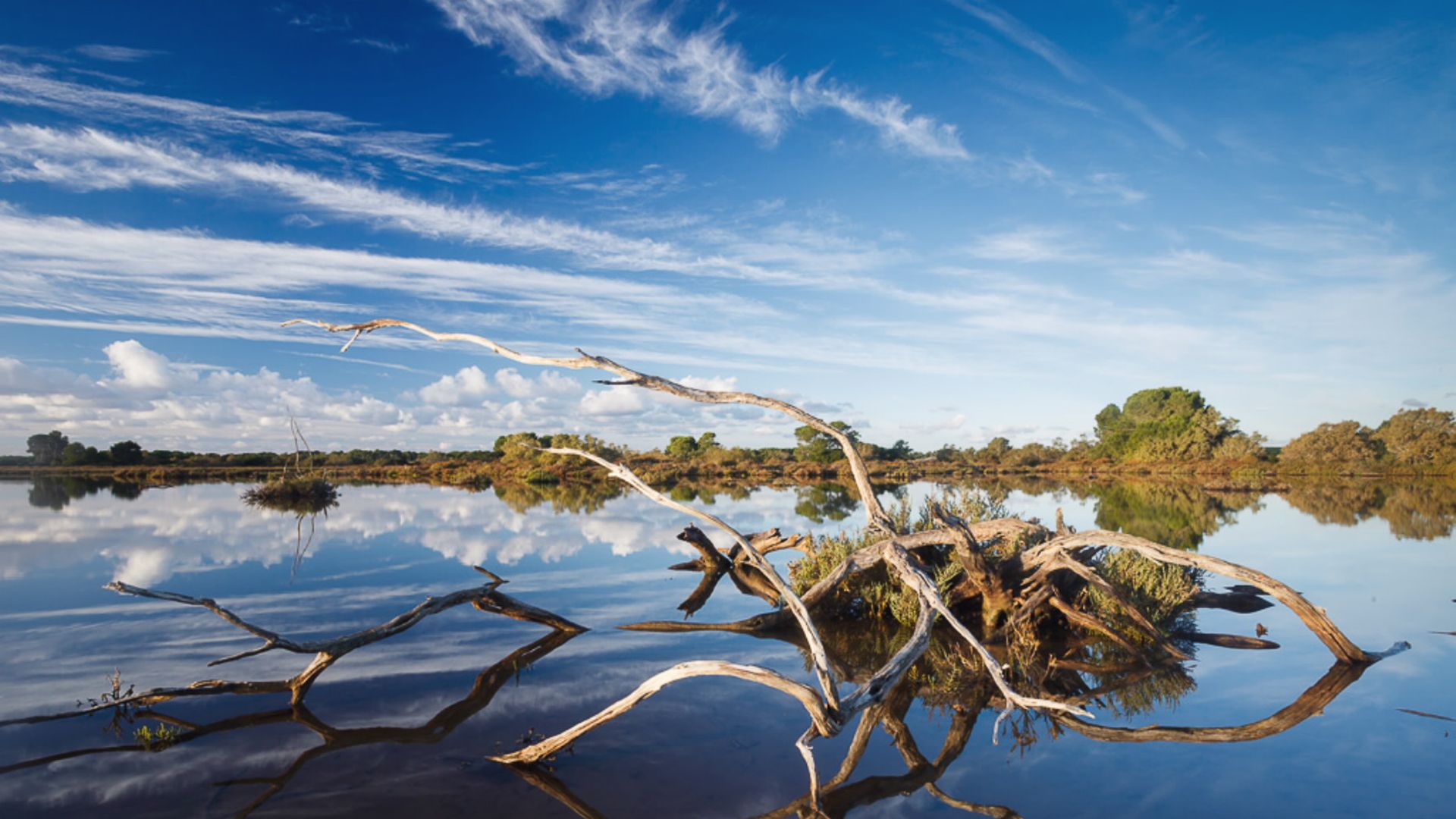 natural protected area Es Trenc - Salobrar de Campos